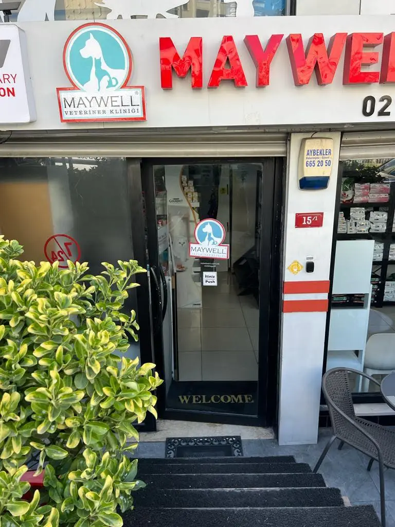 atakent halkalı kucukcekmece veteriner klinigi