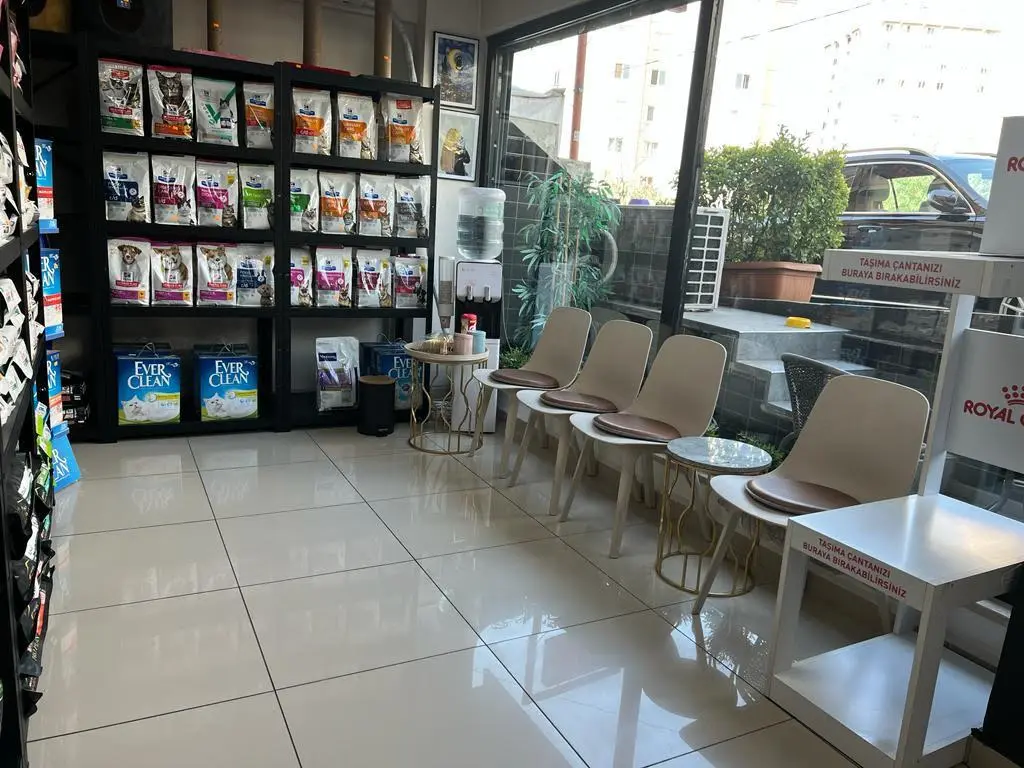istanbul atakent veteriner klinigi