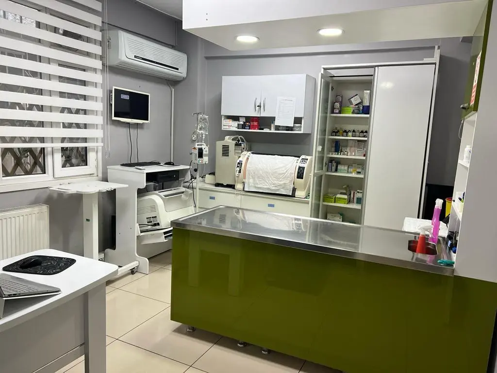 istanbul halkalı veteriner klinigi