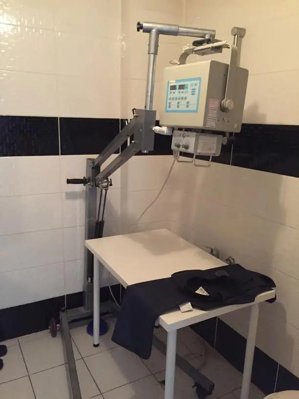 istanbul veteriner klinigi kucukcekmece