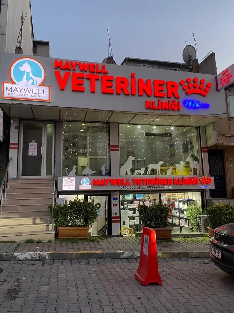 kucukcekmece veteriner klinigi